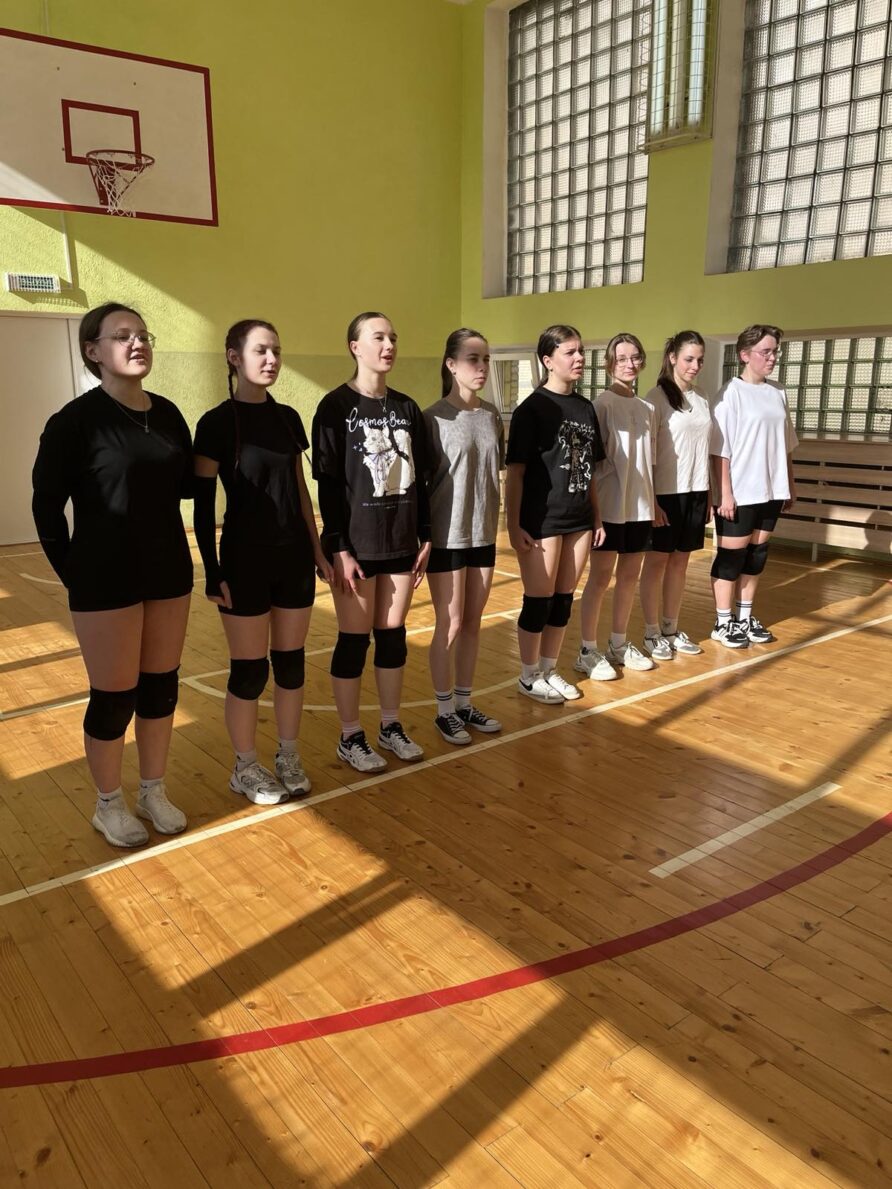 Товарищеская встреча по волейболу ко Всемирному дню здоровья